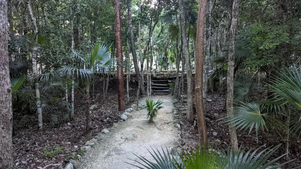 Exclusive Penthouse By Famous Interior Designer By Yeah Apartment Tulum Exterior photo